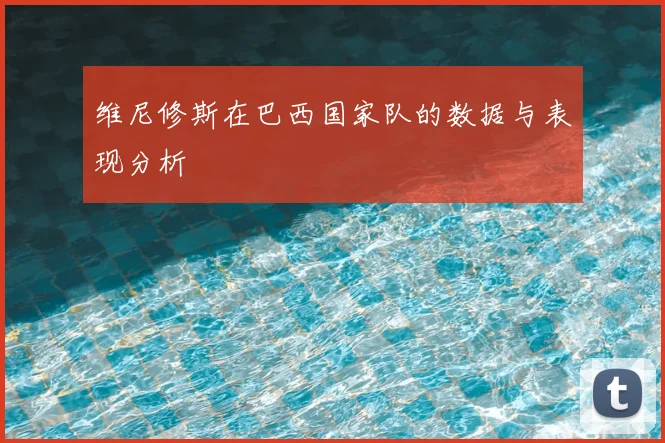 维尼修斯在巴西国家队的数据与表现分析