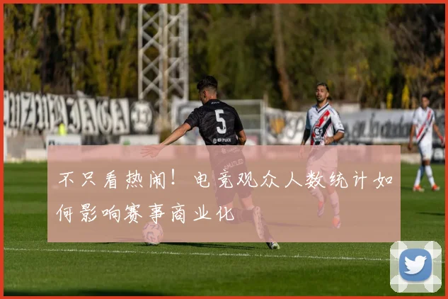 不只看热闹！电竞观众人数统计如何影响赛事商业化